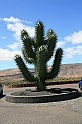 Kanary_2010 212